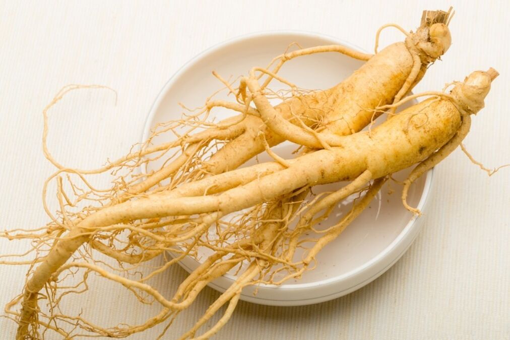 Ginsengwortel is de basis van een tinctuur die de penis vergroot